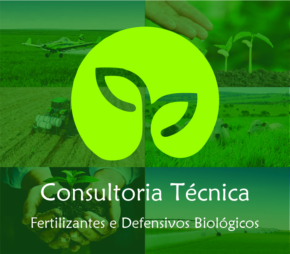 Logos CT Pedro- fotos.jpg